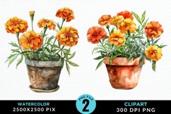 Watercolor Marigolds Pot Graphic Clipart Product Image 1