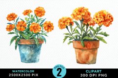 Watercolor Marigolds Pot Graphic Clipart Product Image 1