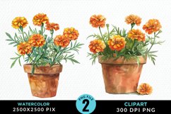 Watercolor Marigolds Pot Clipart Bundle Product Image 3