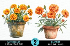 Watercolor Marigolds Pot Graphic Clipart Product Image 1