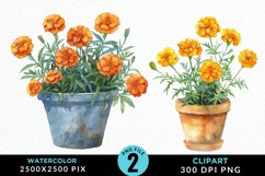 Watercolor Marigolds Pot Set Clipart Product Image 1