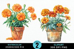 Watercolor Marigolds Pot Graphic Clipart Product Image 1