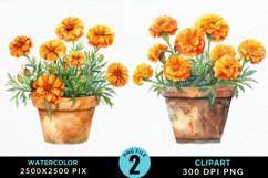 Watercolor Marigolds Pot Graphic Clipart Product Image 1