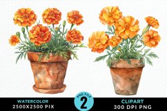 Watercolor Marigolds Pot Graphic Clipart Product Image 1