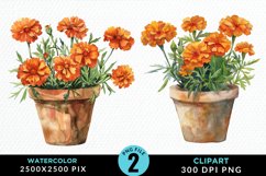 Watercolor Marigolds Pot Graphic Clipart Product Image 1