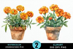 Watercolor Marigolds Pot Graphic Clipart Product Image 1