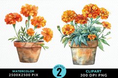 Watercolor Marigolds Pot Set Clipart Product Image 1