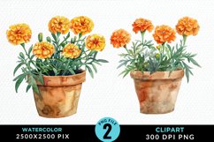Watercolor Marigolds Pot Graphic Clipart Product Image 1