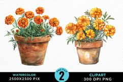 Watercolor Marigolds Pot Graphic Clipart Product Image 1