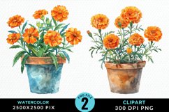 Watercolor Marigolds Pot Graphic Clipart Product Image 1