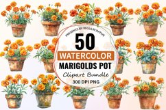 Watercolor Marigolds Pot Clipart Bundle Product Image 1