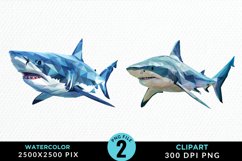 Watercolor Marine Mammals Whale Clipart Product Image 1