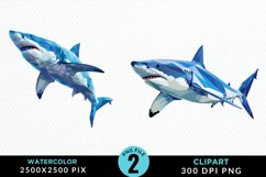 Watercolor Marine Mammals Whale Clipart Product Image 1