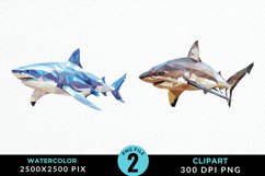 Watercolor Marine Mammals Whale Clipart Product Image 1