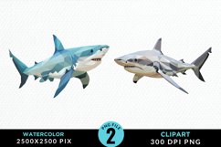 Watercolor Marine Mammals Whale Art Clipart Product Image 1