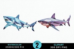 Watercolor Marine Mammals Whale Clipart Product Image 1