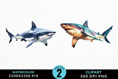 Watercolor Marine Mammals Whale Clipart Product Image 1
