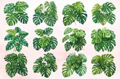 Watercolor Monstera Clipart Bundle Product Image 2