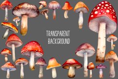 Watercolor Mushroom Clipart