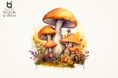 Watercolor mushrooms Sublimation Png Bundle Product Image 2