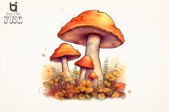Watercolor mushrooms Sublimation Png Bundle Product Image 3