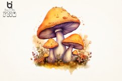 Watercolor mushrooms Sublimation Png Bundle Product Image 6