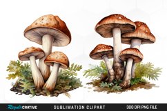 Watercolor Mushrooms Graphics Clipart Product Image 1