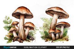 Watercolor Mushrooms Graphics Clipart Product Image 1