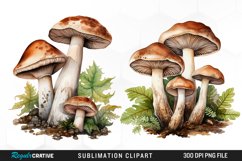Watercolor Mushrooms Graphics Clipart Product Image 1