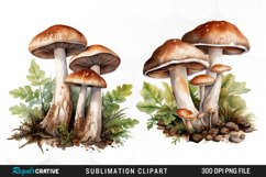 Watercolor Mushrooms Graphics Clipart Product Image 1