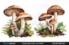 Watercolor Mushrooms Graphics Clipart Product Image 1