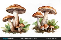 Watercolor Mushrooms Graphics Clipart Product Image 1
