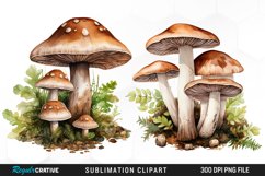 Watercolor Mushrooms Graphics Clipart Product Image 1