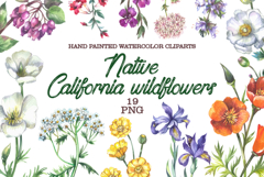 Watercolor California wildflowers Product Image 1