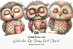 Watercolor Of Sleepy Owl Clipart Product Image 1