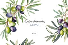 Watercolor Olive branches clipart