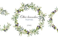 Watercolor Olive branches frames
