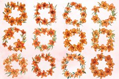 Watercolor Orange Daylily Wreaths Clipart Bundle Product Image 2