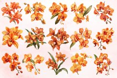 Watercolor Orange Orchid Clipart Bundle Product Image 2