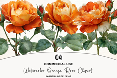 Watercolor Orange Rose Clipart Product Image 1