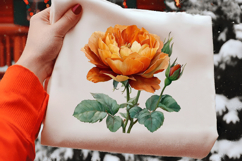 Watercolor Orange Rose Clipart Product Image 2