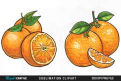 Watercolor Oranges Artwork Clipart Product Image 1