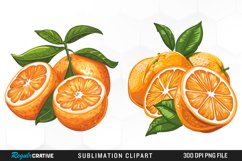 Watercolor Oranges Illustration Clipart Product Image 1