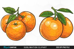 Watercolor Oranges Artwork Clipart Product Image 1