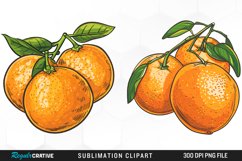 Watercolor Oranges Illustration Clipart Product Image 1