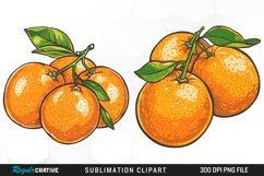 Watercolor Oranges Illustration Clipart Product Image 1