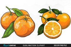 Watercolor Oranges Artwork Clipart Product Image 1