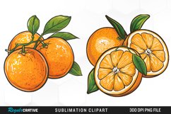 Watercolor Oranges Illustration Clipart Product Image 1