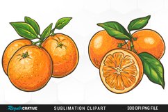 Watercolor Oranges Illustration Clipart Product Image 1