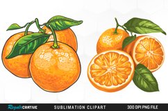 Watercolor Oranges Artwork Clipart Product Image 1